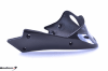 Buell XB9R XB12R 100% Carbon Fiber Lower Belly Pan Oil Pan Fairing - Image 3 of 0