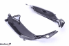 Kawasaki Z800 Carbon Fiber - Image 1 of 0