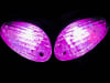 Suzuki Hayabusa Turn Signals - Image 3 of 0