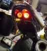 Suzuki Undertail - Image 2 of 0