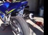 Suzuki Undertail - Image 2 of 0