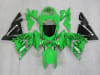 Motorcycle Fairings Kit - 2004-2005 Kawasaki ZX10R Black Flame Fairings | NK10405-11 - Image 1 of 0