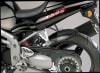 Triumph T595 T509 955 ST (04-Present) Rear Tire Hugger - Gloss Black - Image 1 of 0