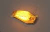 SBL Universal 3-Wire LED Turn Signal Set - Image 3 of 0