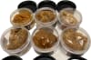 Celestial Amber Resin, 30 grams Jar - Image 4 of 0