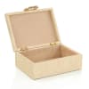 Decorative vegan snakeskin box with gold organic circle accent - Image 2 of 0