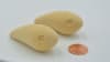 2.3" Round Belly Shad Diver Wood Crankbait body - Image 5 of 0
