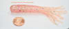 Large 4.0" inch Chunky Bass Tube Baits - Image 1 of 0