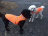 Corky's Reflective Wear Jacket - XS - BLACK - Image 3 of 0