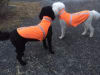 Corky's Reflective Wear Jacket - XS - BLACK - Image 4 of 0