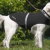 Corky's Reflective Wear Jacket - L - BLACK - Image 3 of 0