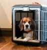 Mirapet Collapsible Pet Crate   - SMALL - Image 3 of 0