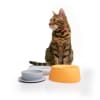 Sleepypod Yummy Travel Bowls - Image 3 of 0