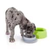 Sleepypod Yummy Travel Bowls - Image 4 of 0