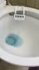Toilet Bowl Rim Hanger - Evergreen w/enzyme - Image 2 of 0