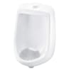 Deodorant Urinal Screen, Melon Mist - Image 2 of 0