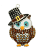 Pilgrim Owl Thanksgiving Rhinestone Enamel Pendant 46mm x 33mm - Image 1 of 0
