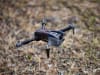Rage RC Stinger BL FPV Drone with 1-Axis 1080p HD Camera & Storage Case - Image 4 of 0