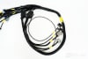 LS3-Engine Harness - Image 3 of 0