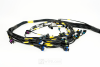 LS3-Engine Harness - Image 4 of 0