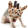 Giraffe Dog Halloween Costume - Image 1 of 0