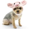 Pink Piggy Hat Dog Halloween Costume - Image 1 of 0