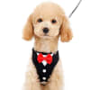 Bowtie Tuxedo Small Dog Harness - Image 1 of 0