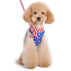 American Flag Small Dog Harness - Image 1 of 0