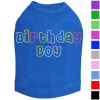 Rhinestone Birthday Boy Dog Shirt - Image 1 of 0