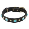 Studded Leather Dog Collar with Turquoise - Image 1 of 0