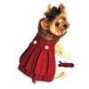 Designer Small Dog Coat with Matching Leash - Image 2 of 0