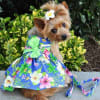 Hawaiian Hibiscus Dog Harness Dress - Image 3 of 0