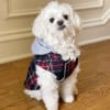 Weekender Plaid Hooded Dog Jacket | Dog Coat - Image 2 of 0