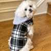 Weekender Plaid Hooded Dog Jacket | Dog Coat - Image 3 of 0