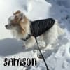 Zip-up Puffer Dog Harness Vest - Image 2 of 0