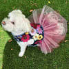 Garden Party Denim Dog Harness Dress - Image 4 of 0
