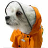 Clear View Poncho Dog Raincoat - Image 3 of 0