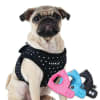 Dotty Small Dog Harness - Image 1 of 0