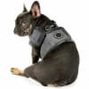 Terry Vest Small Dog Harness - Image 3 of 0