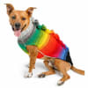 Rainbow Mohawk Dog Sweater | Organic Wool - Image 1 of 0