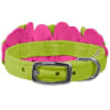 Dragon Fruit Designer Dog Collar | Ultrasuede - Image 2 of 0