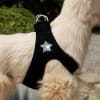 Rockstar Step-In Dog Harness - Ultrasuede - Image 2 of 0