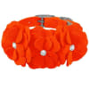 Tinkie's Garden Designer Dog Collar - Image 5 of 0
