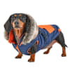 Blue and Orange Winter Dog Coat with Built-in Harness - Image 1 of 0
