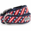 Stars and Stripes Nylon Dog Collar and Leash - Image 1 of 0