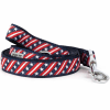 Stars and Stripes Nylon Dog Collar and Leash - Image 2 of 0