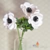 Anemone Stem - Image 2 of 0