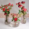 Liv Bud Vase, Set of 3 - Image 1 of 0