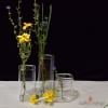 Flora Glass Bud Vases - Image 1 of 0