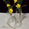 Flora Glass Bud Vases - Image 3 of 0